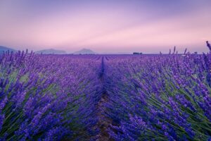 geschiedenis aromatherapie gattefossé